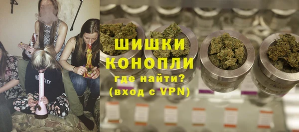 сатива Армянск