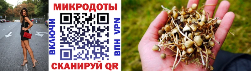 Галлюциногенные грибы мицелий гидра ссылки Порхов