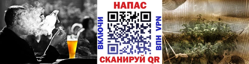 купить наркотики сайты  Порхов  Шишки марихуана марихуана 